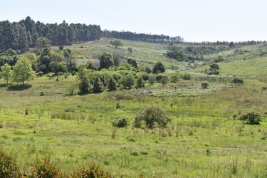 Swaziland